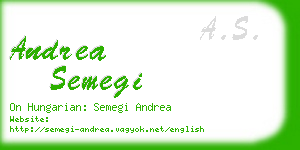 andrea semegi business card